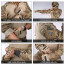 Боевая рубашка (IDOGEAR) AA-CP Gen.3 Multicam Black (S)